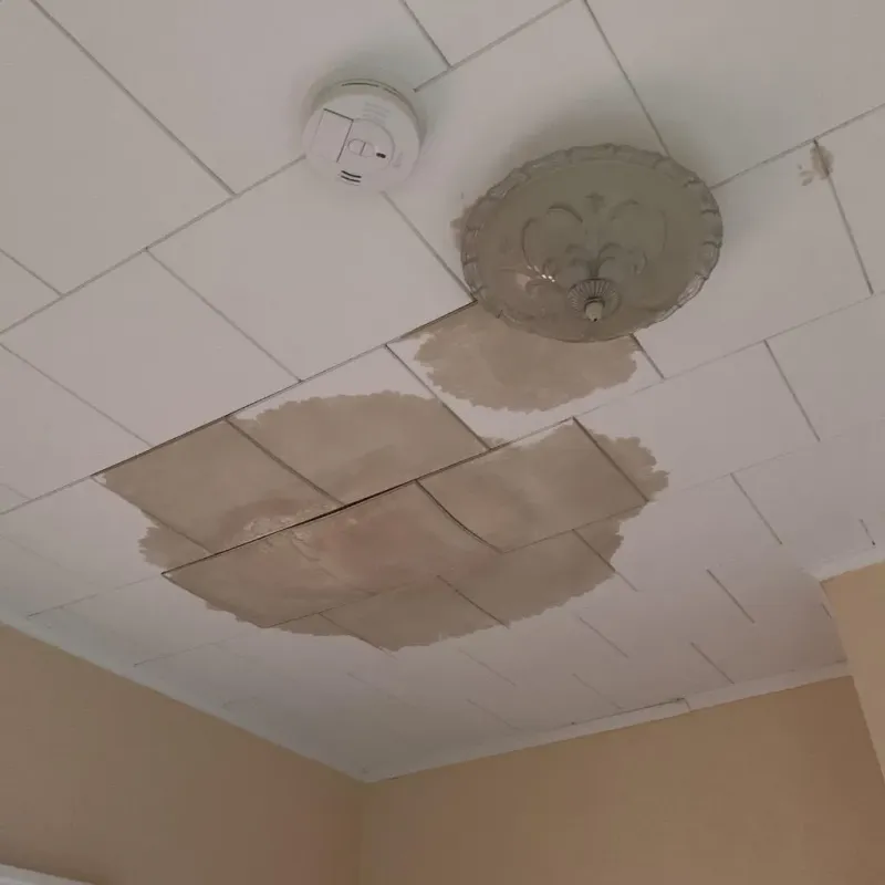 Ceiling Water Damage Repair in Troutman, NC