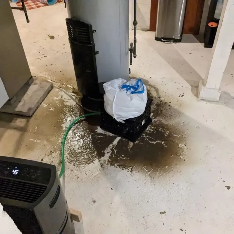 Sewage Backup Cleanup Service in Troutman, NC